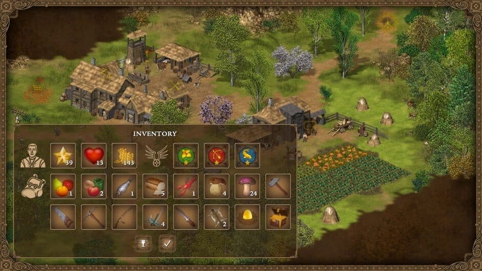 Hero of the Kingdom screenshot 2