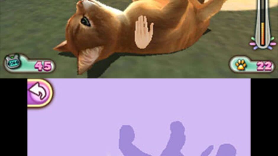 Pet Inn 3D screenshot 5