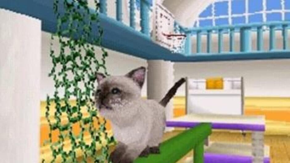 Petz Catz Family screenshot 2