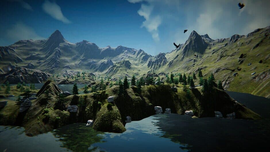 Accident screenshot 8