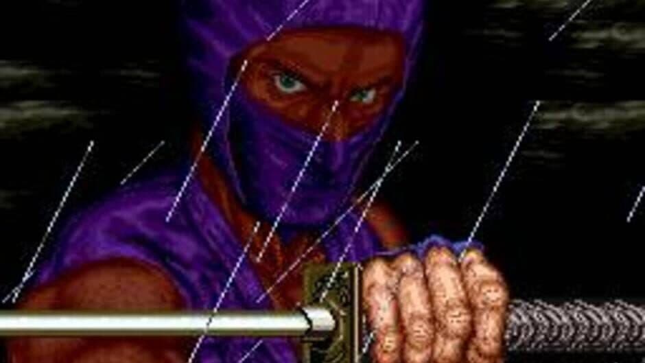 Ninja Gaiden screenshot 3