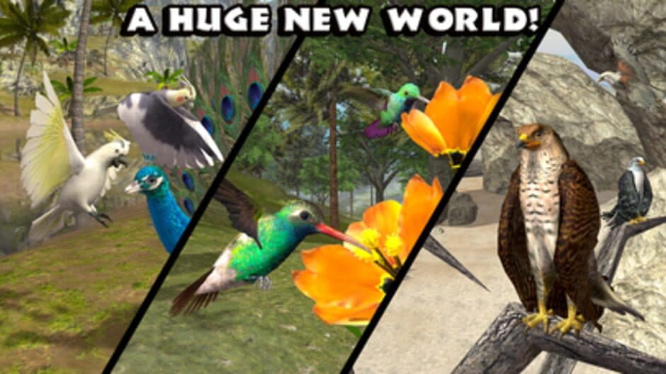 Ultimate Bird Simulator screenshot 7