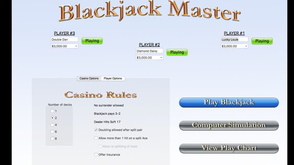 Blackjack Master screenshot 2