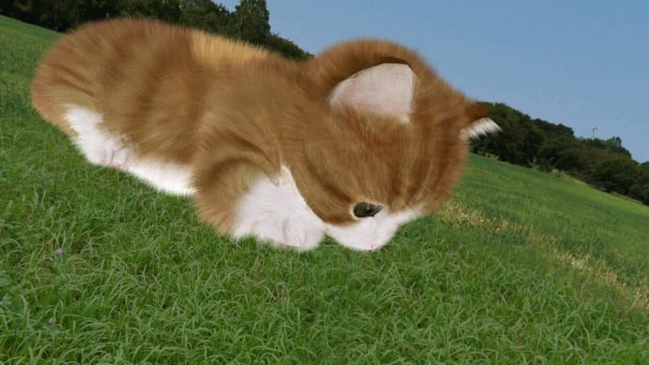 Aabs Animals screenshot 4
