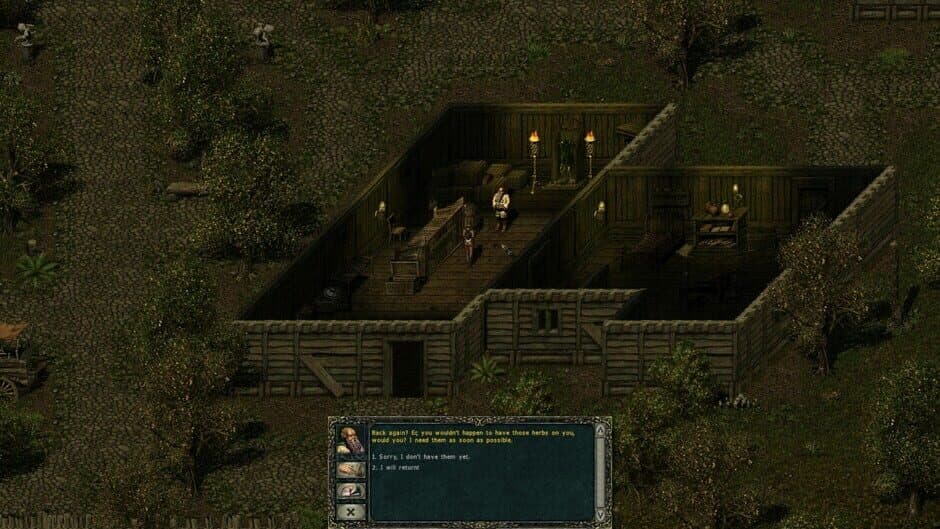 Divine Divinity screenshot 1