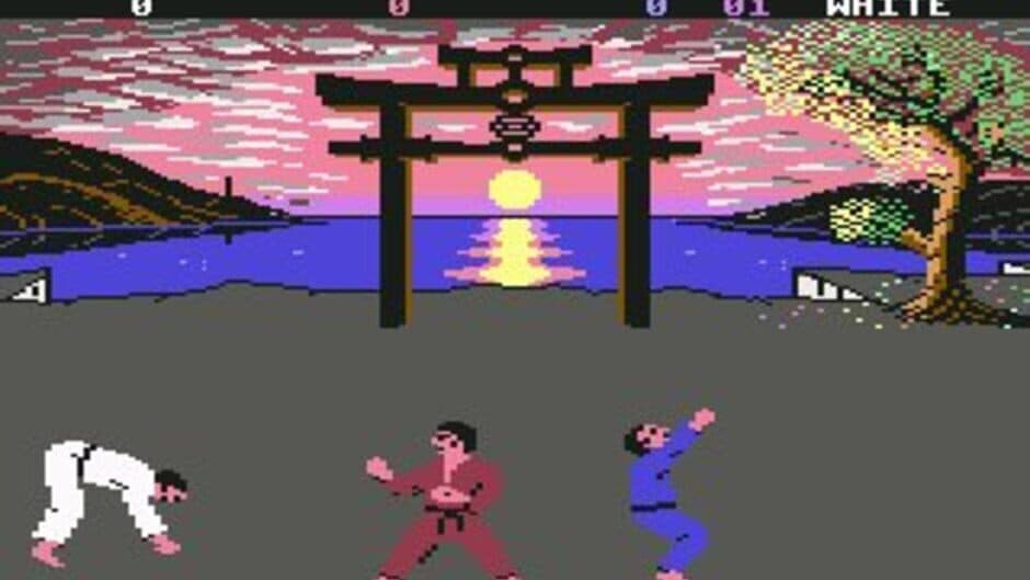 International Karate + screenshot 5