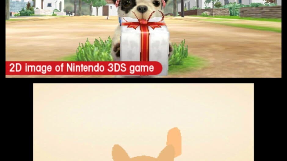 Nintendogs + Cats: French Bulldog & New Friends screenshot 8