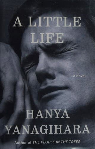 A Little Life cover backdrop