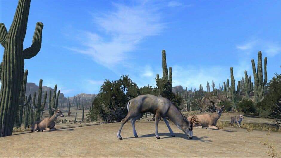 Cabela's Big Game Hunter: Pro Hunts screenshot 3