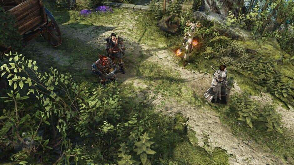 Divinity: Original Sin II screenshot 5
