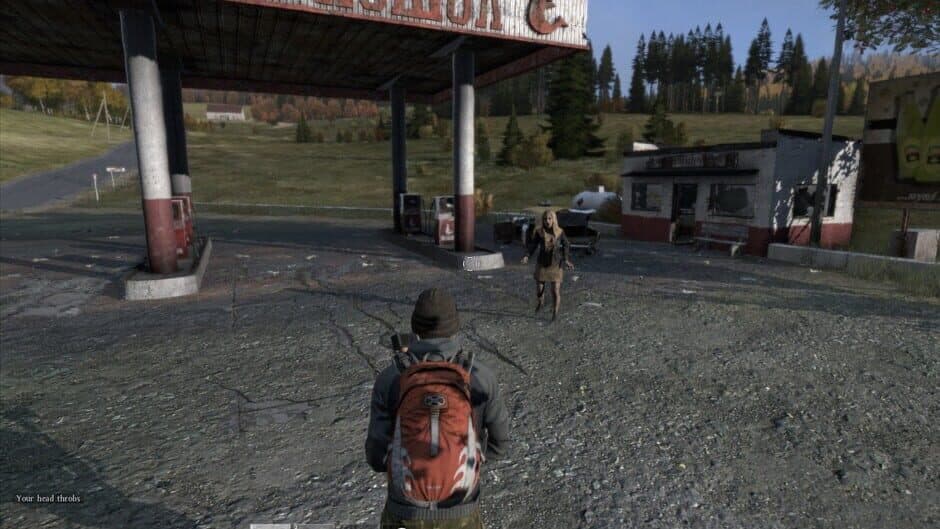 DayZ screenshot 1