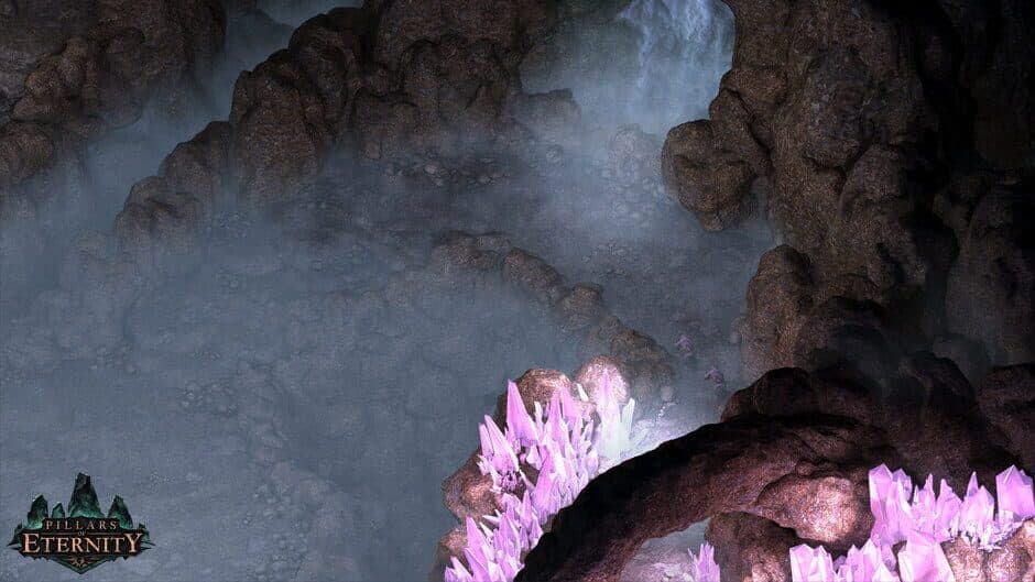 Pillars of Eternity screenshot 2