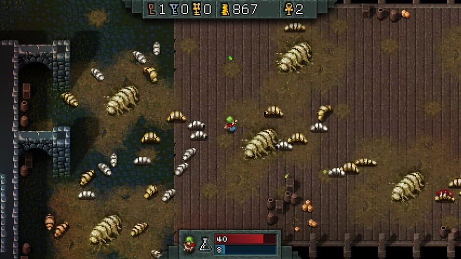 Hammerwatch screenshot 7