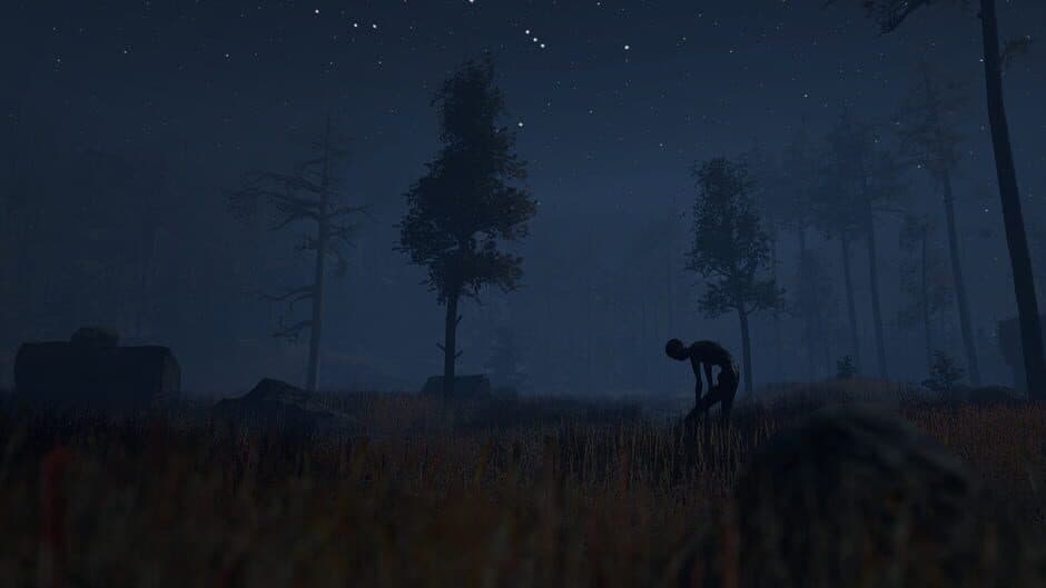 Through the Woods screenshot 1
