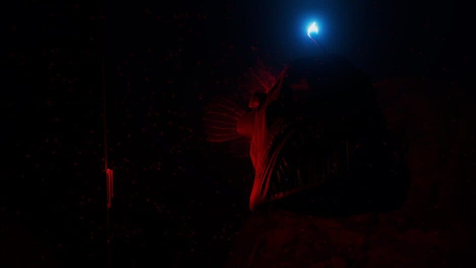 Beyond Blue screenshot 5