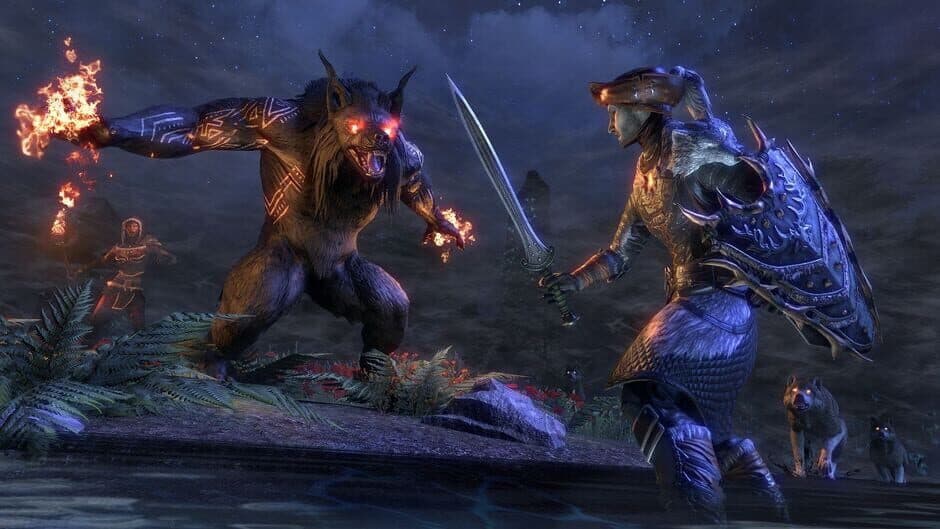 The Elder Scrolls Online screenshot 7