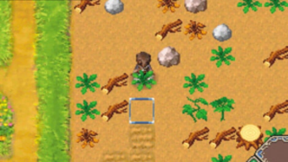 Rune Factory: A Fantasy Harvest Moon screenshot 6