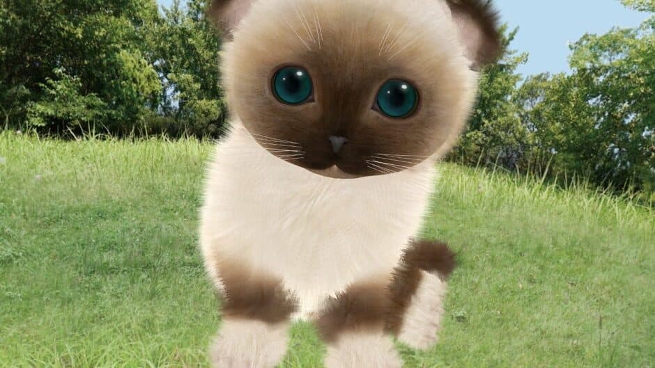 Aabs Animals screenshot 2