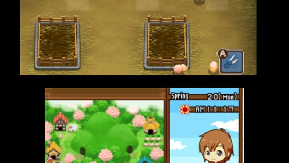 Harvest Moon: The Tale of Two Towns screenshot 8