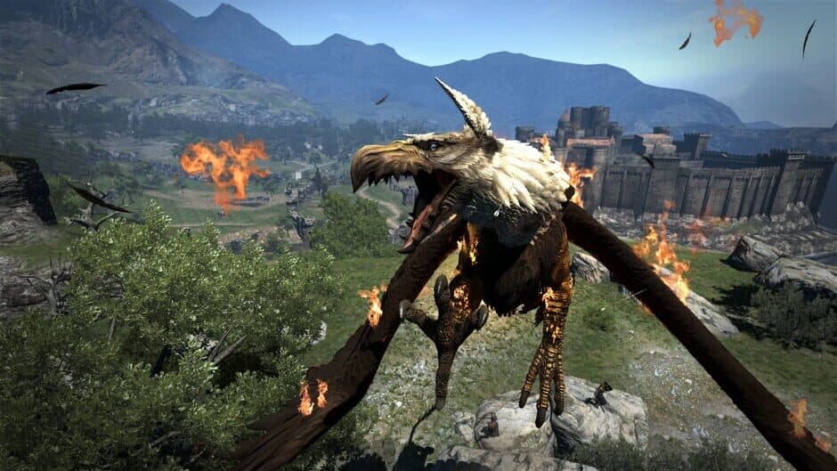 Dragon's Dogma screenshot 3