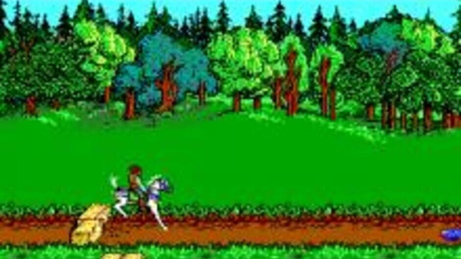 Advanced Dungeons & Dragons: Hillsfar screenshot 2