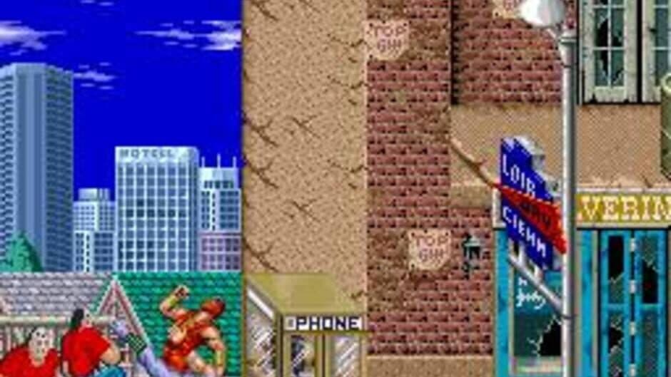 Ninja Gaiden screenshot 4