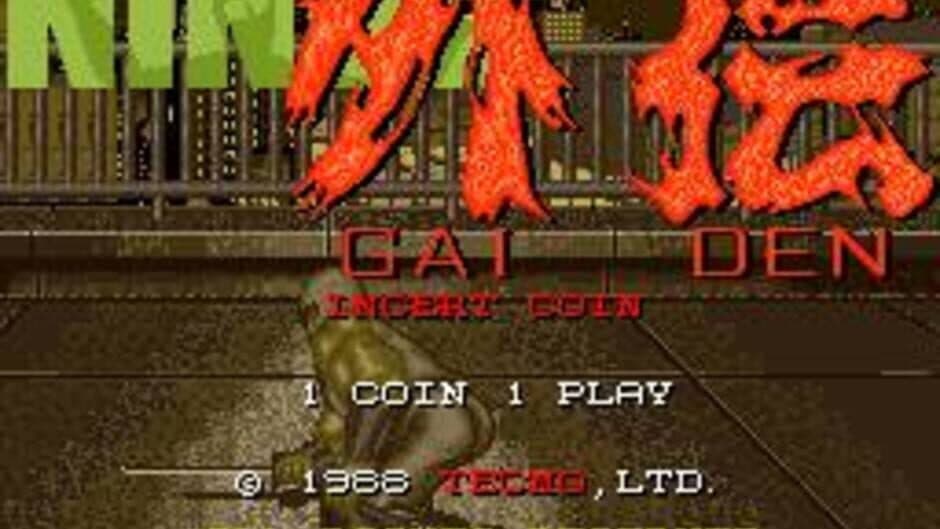 Ninja Gaiden screenshot 2