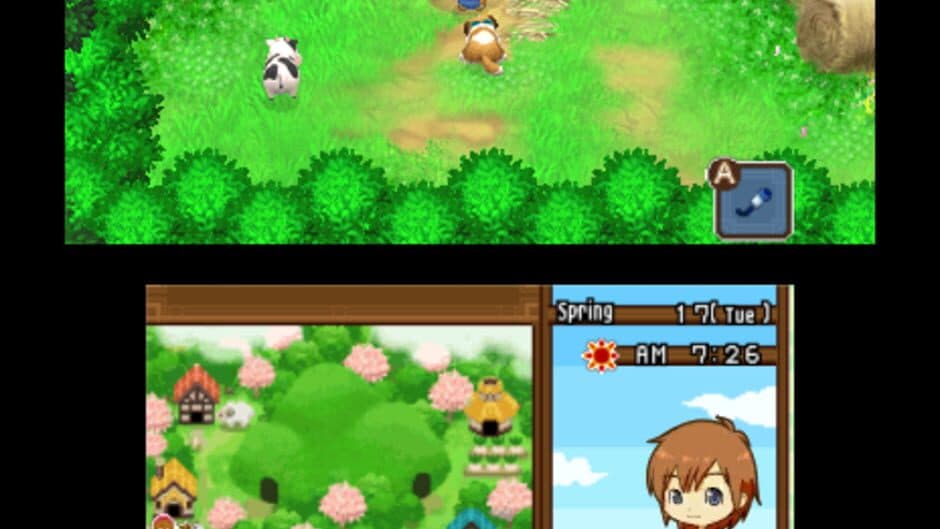 Harvest Moon: The Tale of Two Towns screenshot 9