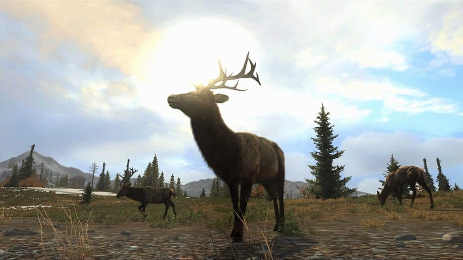 Cabela's Big Game Hunter: Pro Hunts screenshot 5