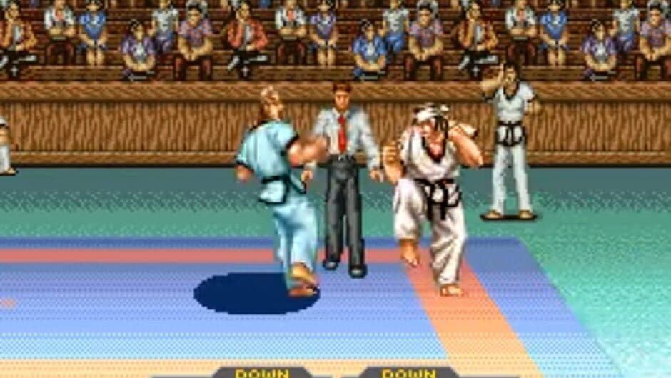 Taekwon-do screenshot 1