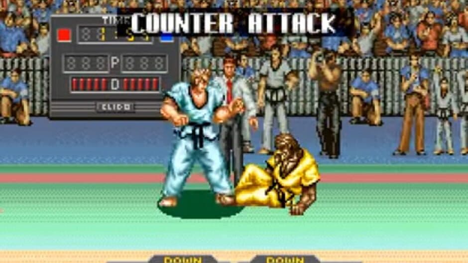Taekwon-do screenshot 2