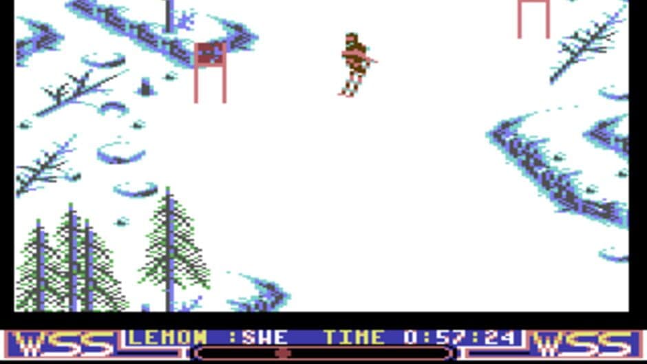Winter Supersports 92 screenshot 4