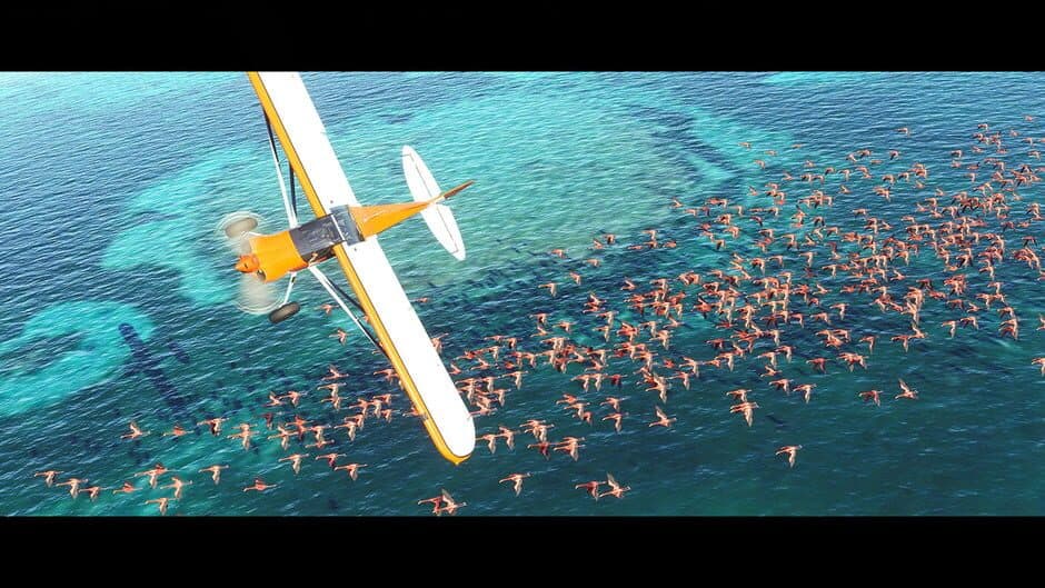 Microsoft Flight Simulator screenshot 5