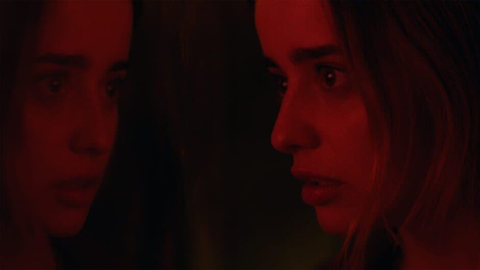 Erica screenshot 7