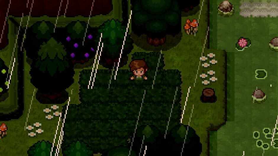 Pokémon Uranium screenshot 2