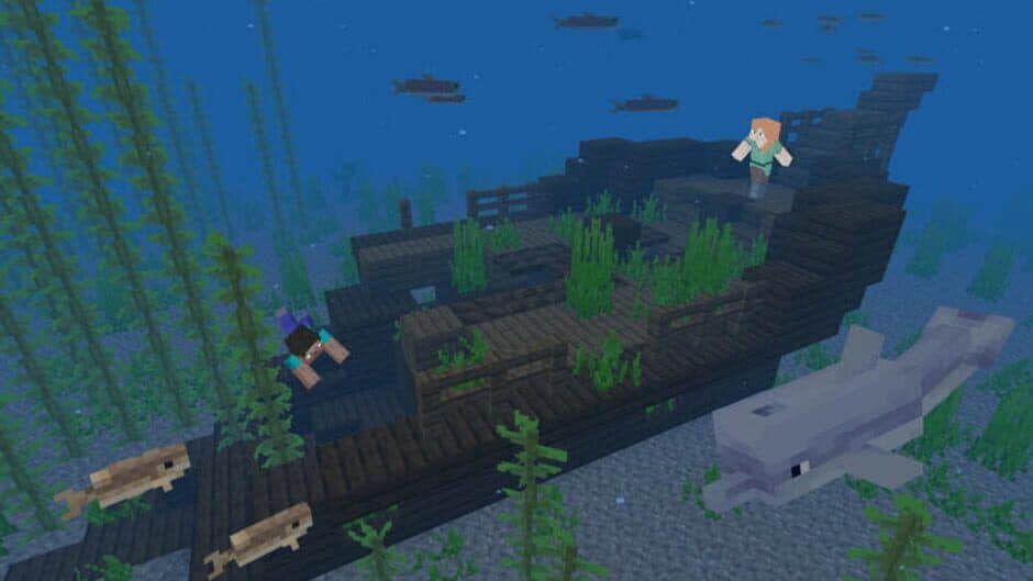 Minecraft: Java Edition screenshot 9
