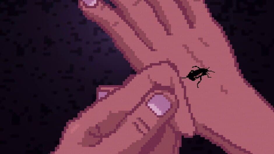 Divisadero screenshot 4