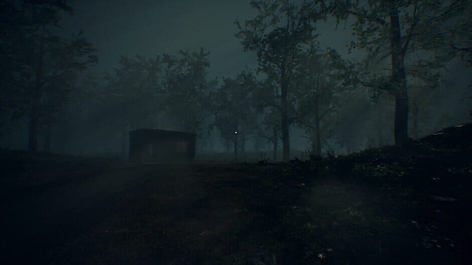 Desolate Roads screenshot 5