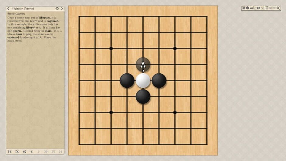 The Conquest of Go screenshot 6