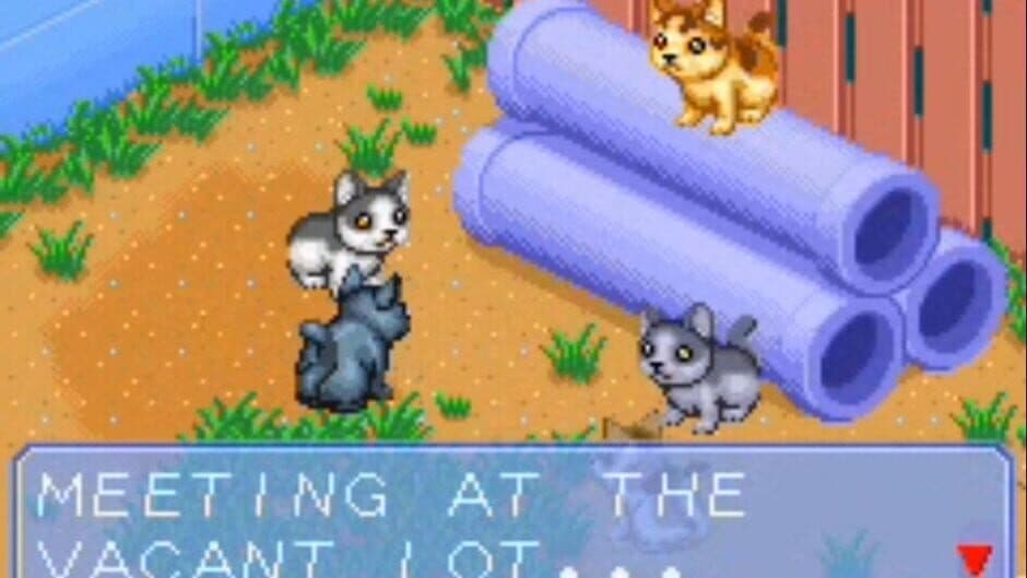 Catz screenshot 1