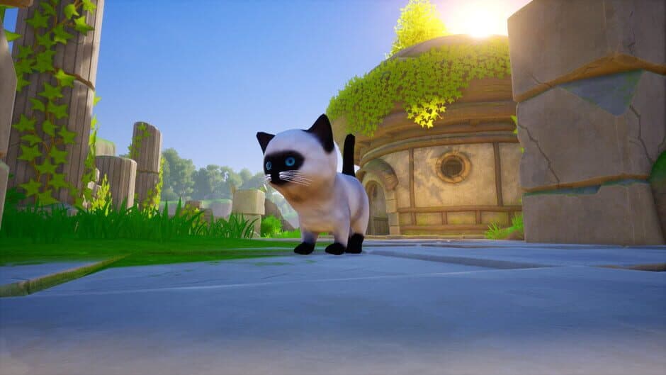 Cat Go! Ultimate Challenge screenshot 1