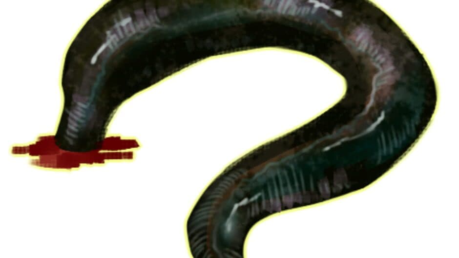 Devotionalia screenshot 7