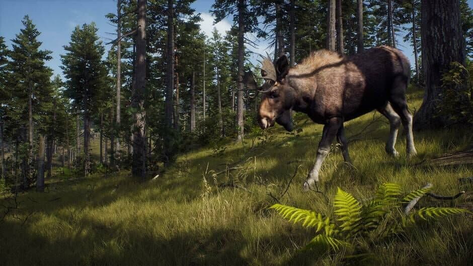Way of the Hunter screenshot 8