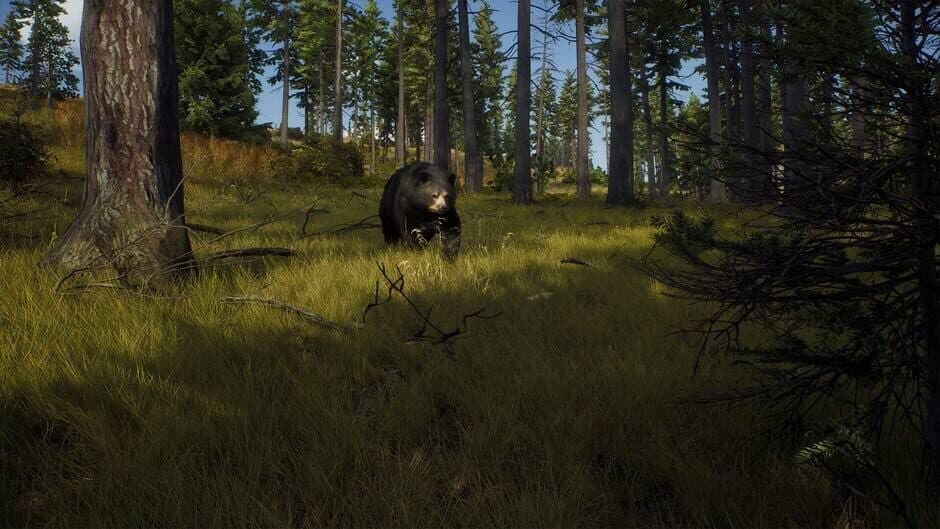 Way of the Hunter screenshot 9