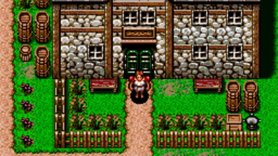 Brain Lord screenshot 3