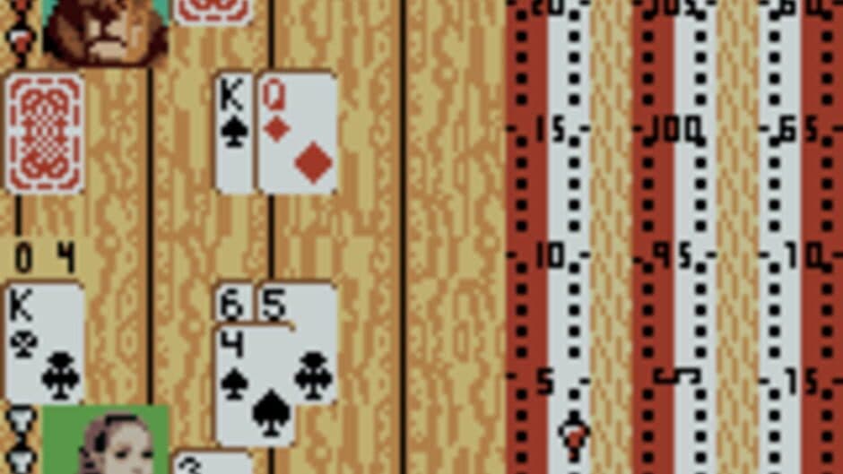 Hoyle Card Games screenshot 4