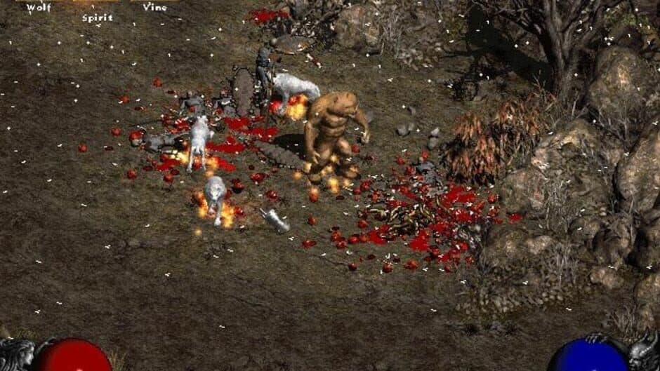 Diablo II screenshot 3