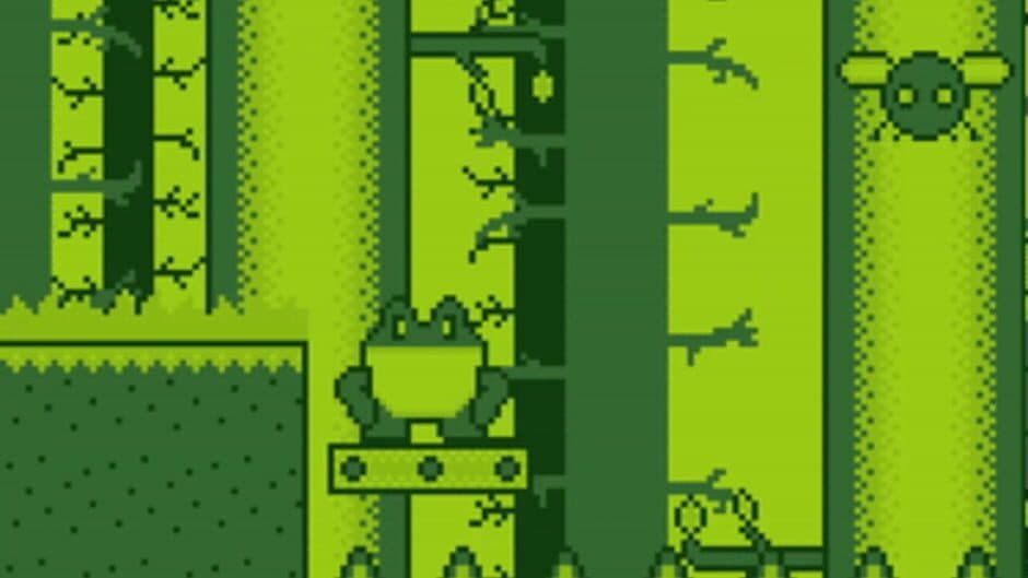 Froggy Quest screenshot 2