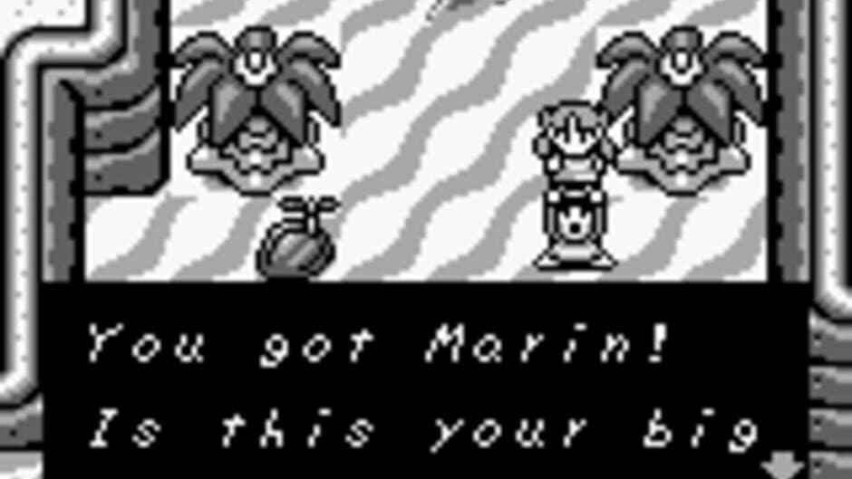 The Legend of Zelda: Link's Awakening screenshot 3
