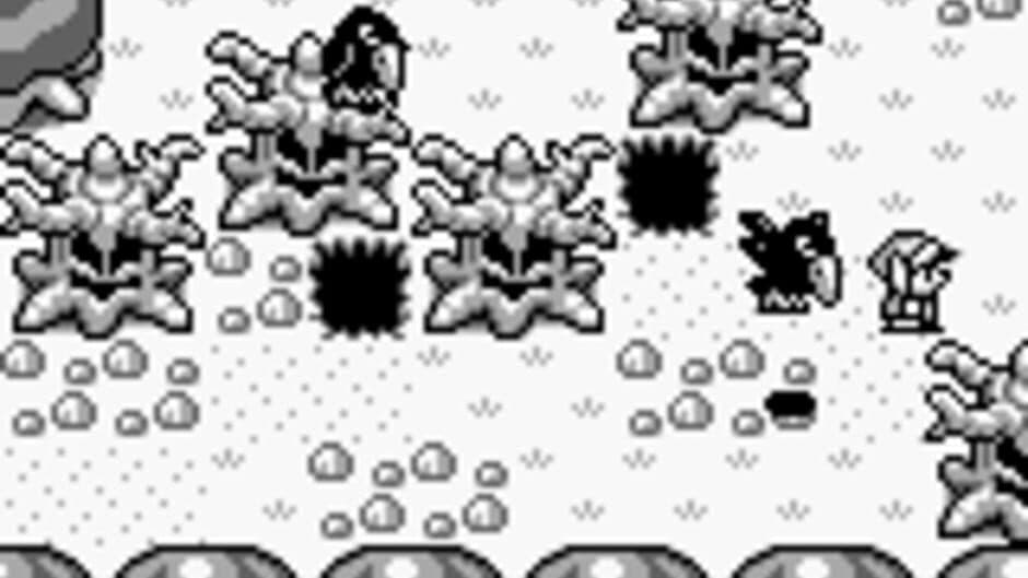 The Legend of Zelda: Link's Awakening screenshot 7